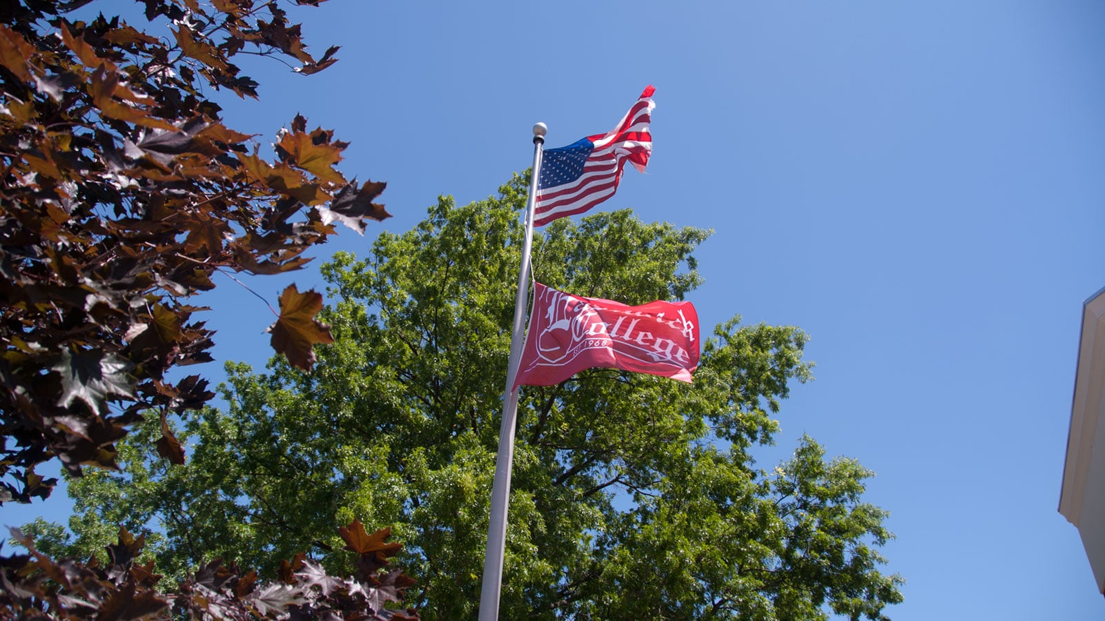 Eastwick College Campus - Education and Training